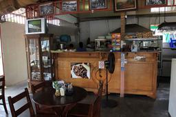 rainforest cafe interior 7