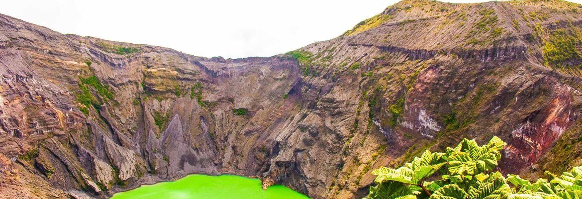 irazu volcano crater with poor man umbrella plants
