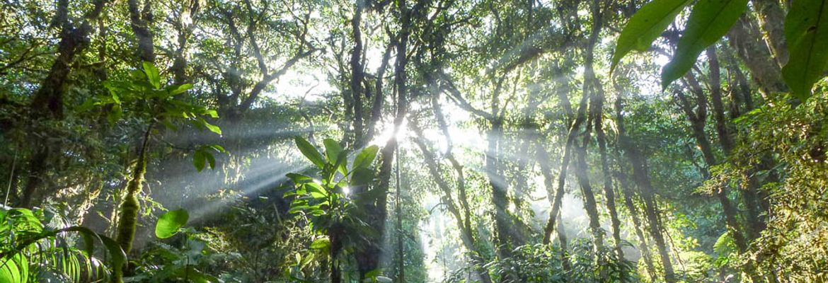 santa elena sunrise 1