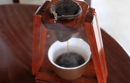 rainforest cafe chorreador 3