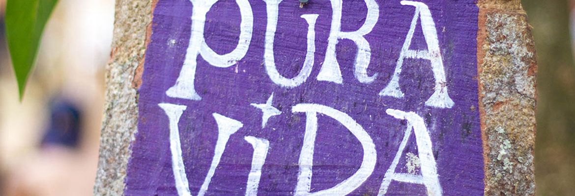 pura vida sign envision festival