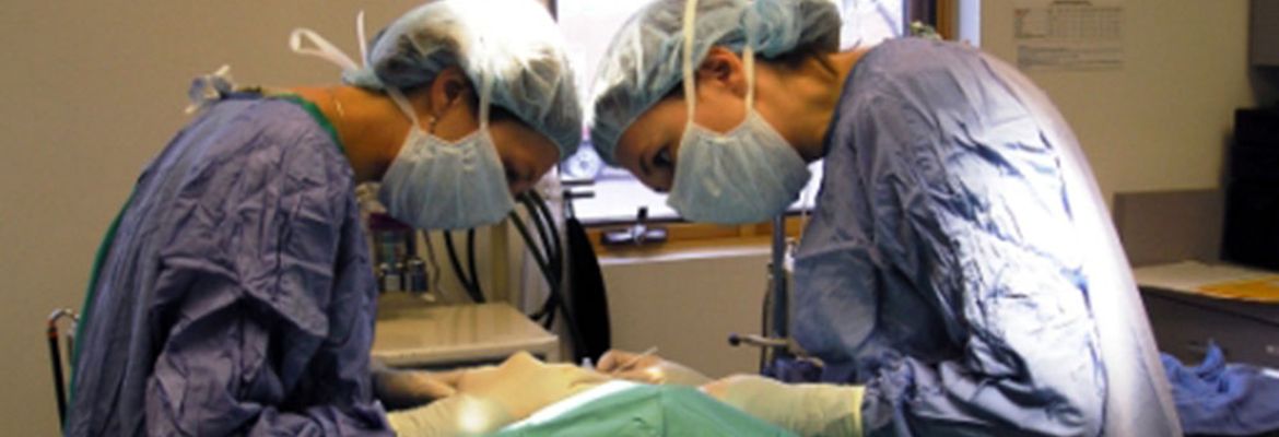 vet surgery