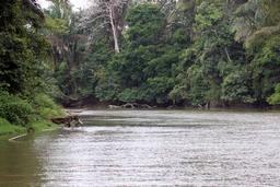 The Frio River twists through the Cano Negro Wildlife Refuge en route to Lake Nicaragua on March 9, 2013.
