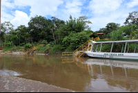 crocodile safari tour riverboat 
 - Costa Rica
