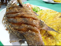 Whole Fish Lateral View=At Perla Del Sur Restaurant
 - Costa Rica