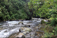 carlos lodge 
 - Costa Rica
