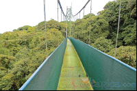        Hanging Bridge Skywalk Monteverde
  - Costa Rica