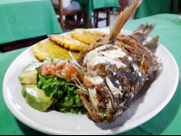        Whole Fish Front View Perla Del Sur Restaurant
  - Costa Rica