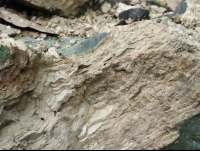 mineral sediments of water in samara 
 - Costa Rica