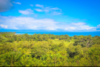 View Of Golfo Dulce From Rancho Tropical
 - Costa Rica