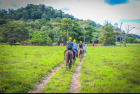 Starting The Horseback Ride Tour At Rancho Tropical
 - Costa Rica