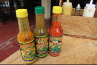 hot sauces giled iguana
 - Costa Rica