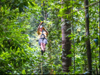 Guy Zip Lining Osa Palmas Canopy Tour
 - Costa Rica