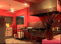ngo restaurant kitchen 
 - Costa Rica