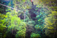 Long Cable Osa Palmas Canopy Tour
 - Costa Rica
