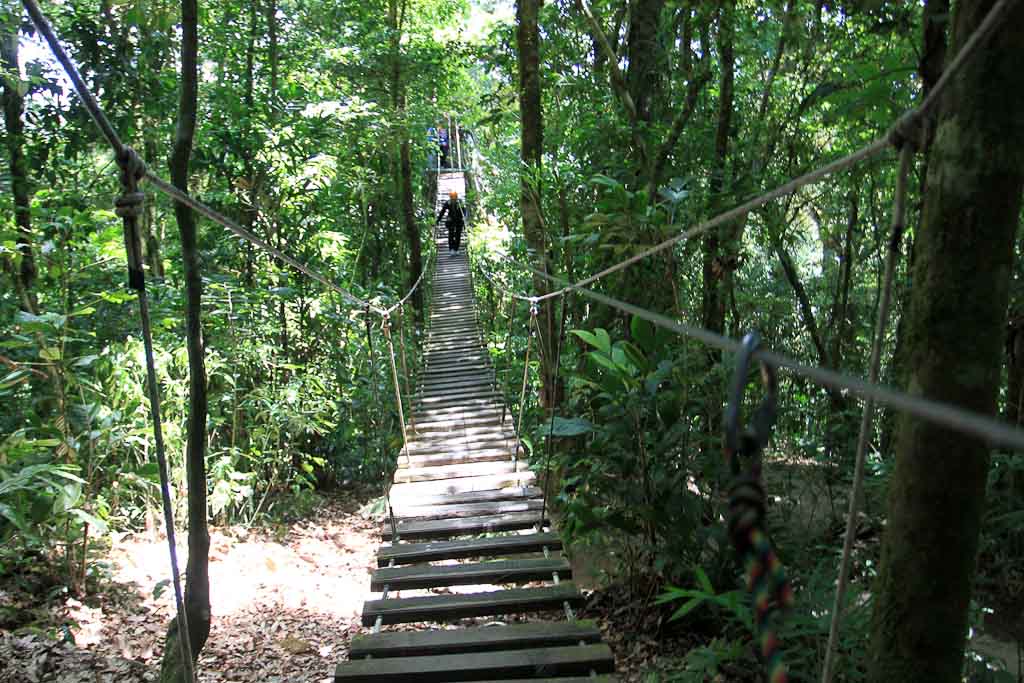  percent aventura monkey bridge 
 - Costa Rica