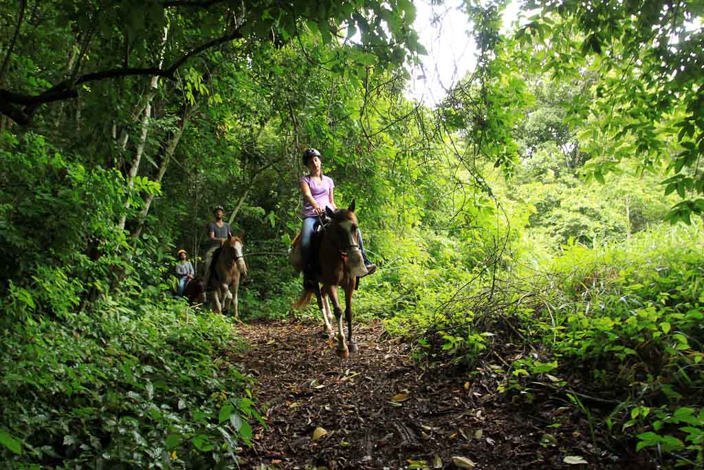        discovery horseback blog rainforest 
  - Costa Rica