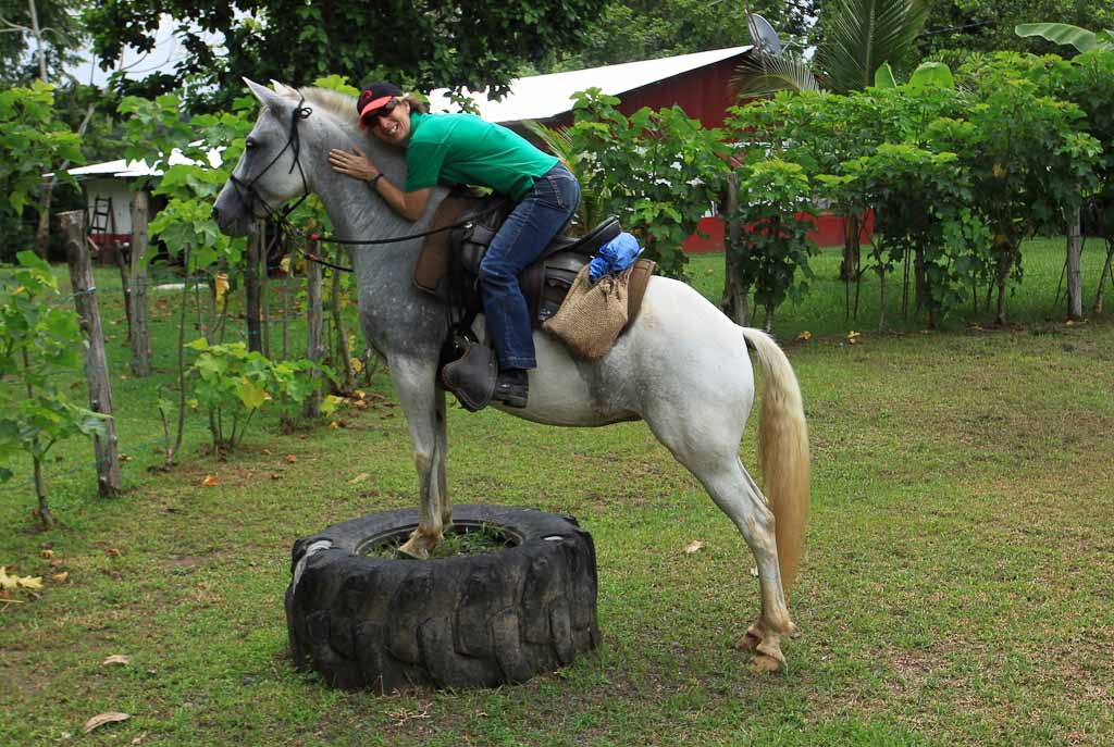 discovery horseback blog stretching 
 - Costa Rica