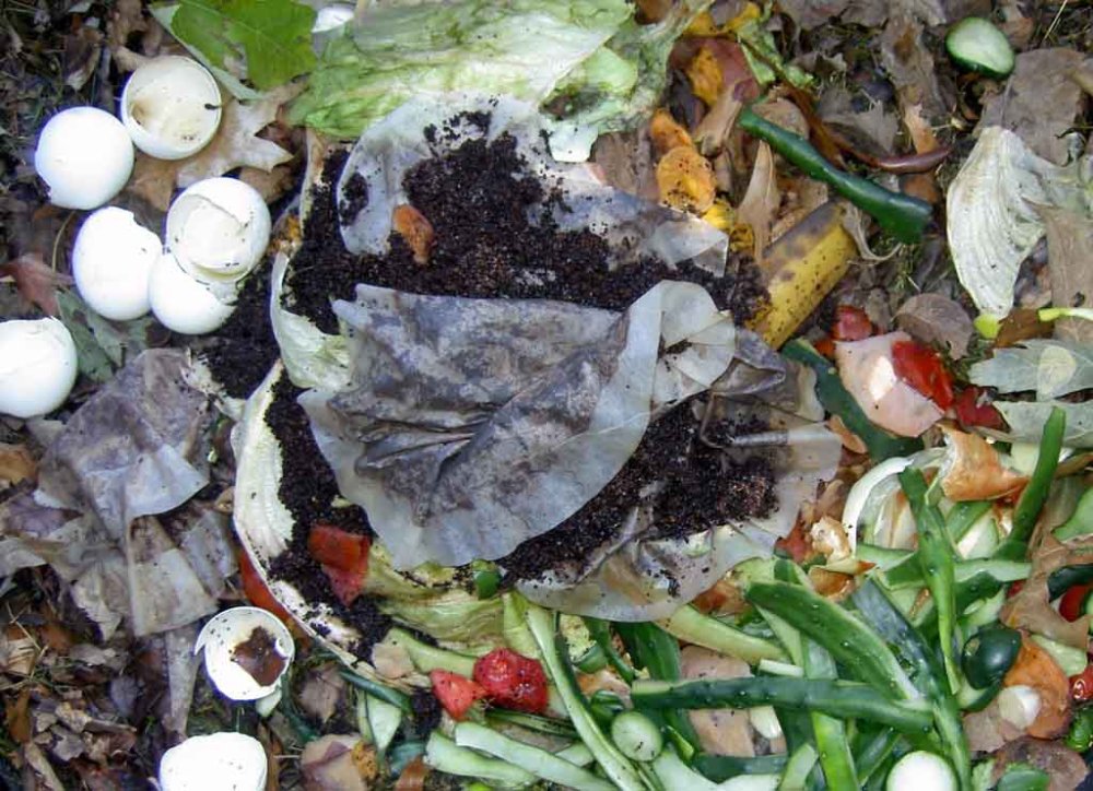 compost pile
 - Costa Rica