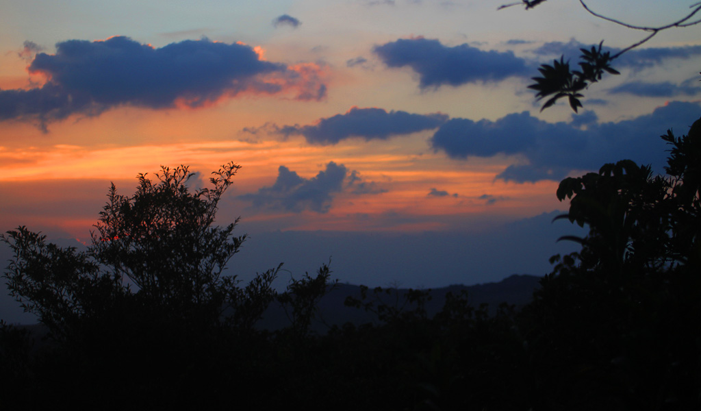 bajos del tigre sunset 
 - Costa Rica
