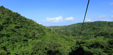 The Pacific Rainforest from a Gondola - Costa Rica