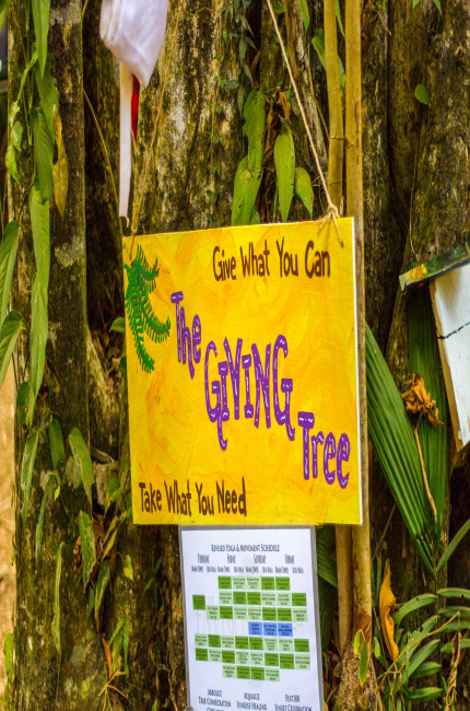 the giving tree envision festival costa rica
 - Costa Rica