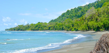 $Osa Peninsula - Costa Rica