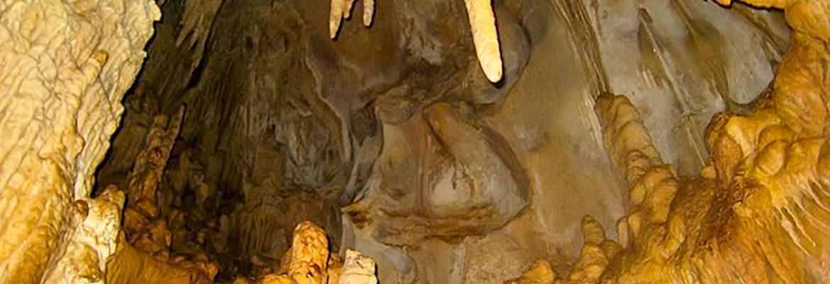 cave barra honda
